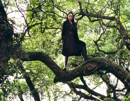 Shu Qi, in a scene from director Hou Hsiao-hsien's 'The Assassin.' PHOTO: Hong Kong International Film Festival Society
